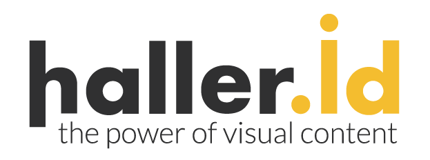 Logo haller.id